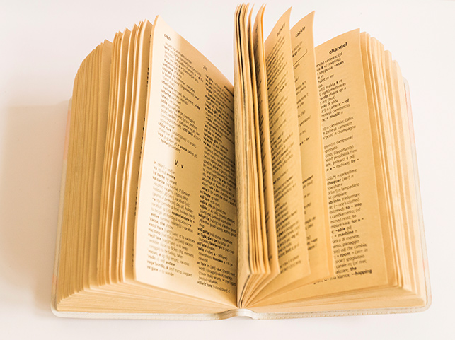 An open book with its pages fanned out with many foundational definitions.