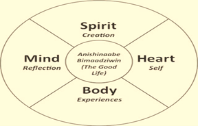  A beige circle divided into four by intersecting lines, labeled 'Spirit', 'Mind', 'Body', and 'Heart'. At the circle's center: 'Anishinaabe Bimaadiziwin (The Good Life)' in black text.